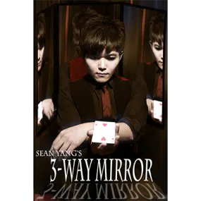 3-Way Mirror