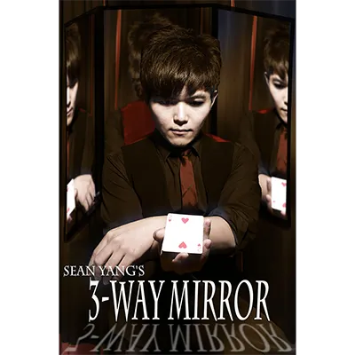 3-Way Mirror