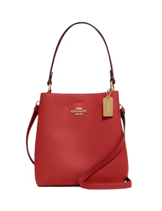 Coach Small Town Bucket Bag