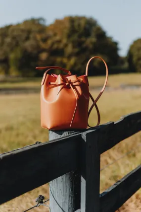 Mansur Gavriel Mini Bucket Bag in Camello Dolly