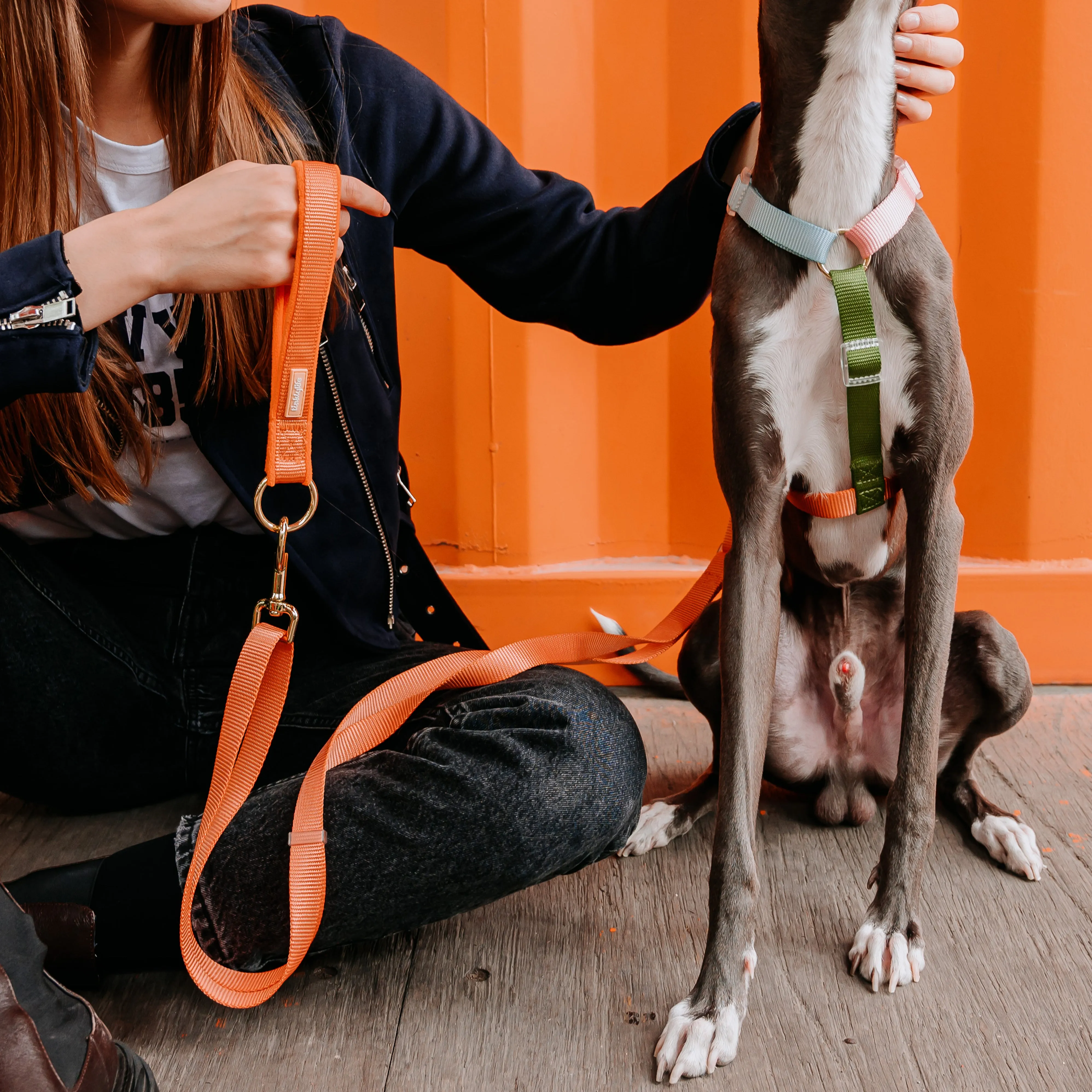 Rainbow Mini Dog Backpack Kit