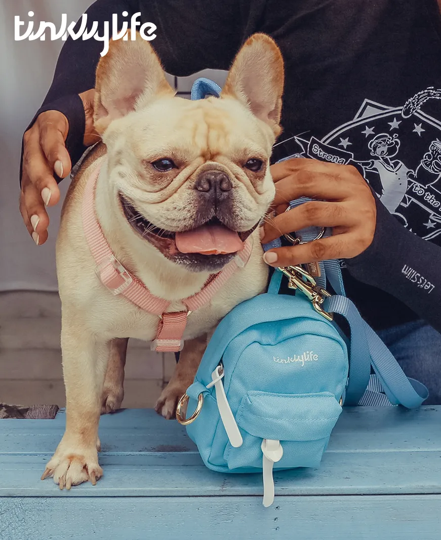 Rainbow Mini Dog Backpack Kit