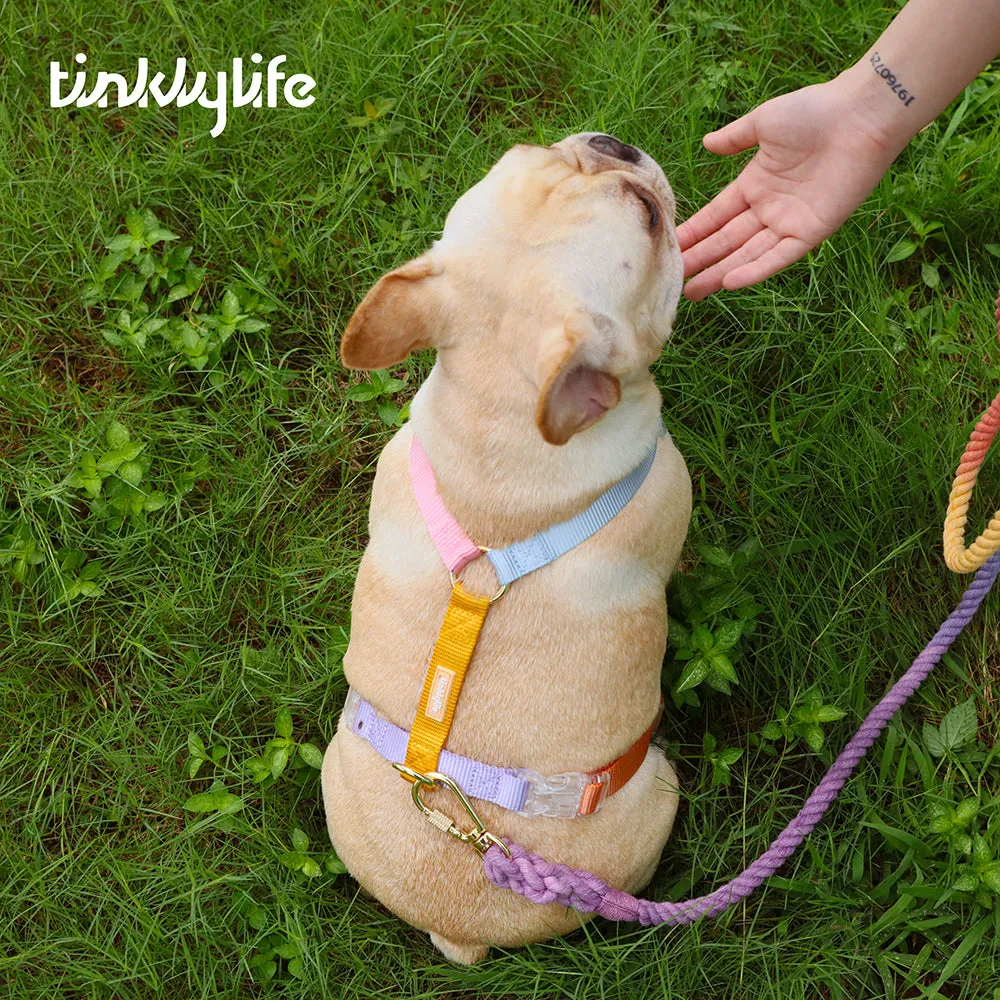 Rainbow Mini Dog Backpack Kit